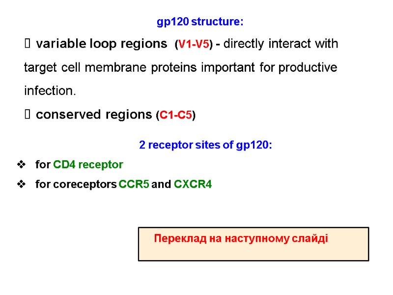 gp120 structure:  variable loop regions  (V1-V5) - directly interact with target cell